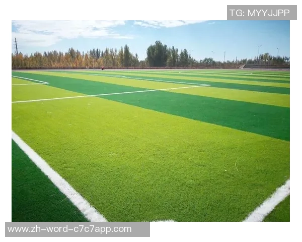 足球场真草坪的魅力与挑战探讨如何提升球员表现与观赛体验